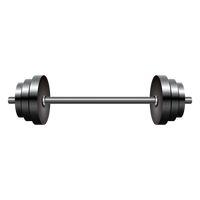 Bench press Rod